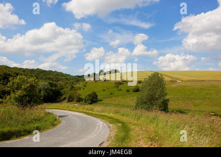 a curving valley road with crops and grazing meadows near woodland under a blue summer sky at Millington pastures in the yorkshire wolds Stock Photo