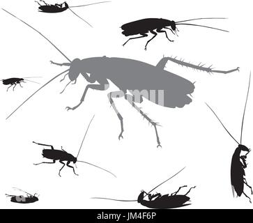 Vector insects collection Stock Vector