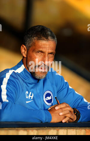 Soccer - Friendly - Brighton & Hove Albion v Fulham - Withdean Stadium ...