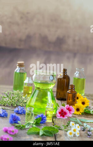 Herbal therapy and aromathrapy concept: alternative treatment with fresh medicinal herbs and flowers on wooden background Stock Photo