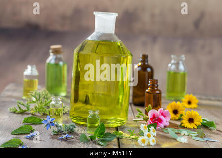 Herbal therapy and aromathrapy concept: alternative treatment with fresh medicinal herbs and flowers on wooden background Stock Photo