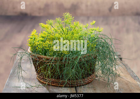freshblossom dill flowers and leaves in the wicker basket isolated on wooden background Stock Photo