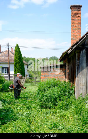 local man using a strimmer to cut long grass in the garden of a rural house in a village in zala county hungary