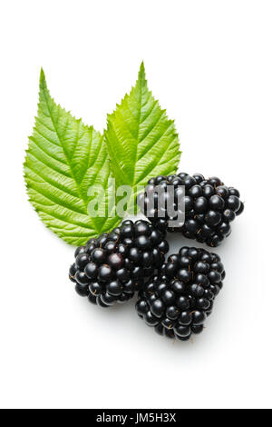 Tasty ripe blackberry isolated on white background. Stock Photo