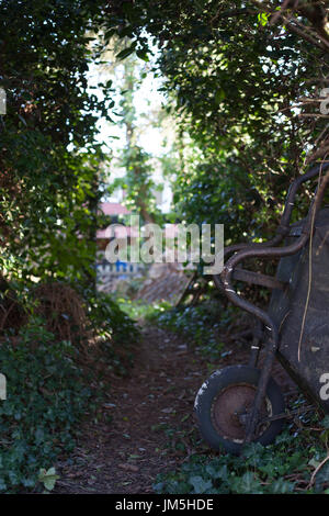 A messy overgrown garden with a wheelbarrow in the foreground Stock Photo