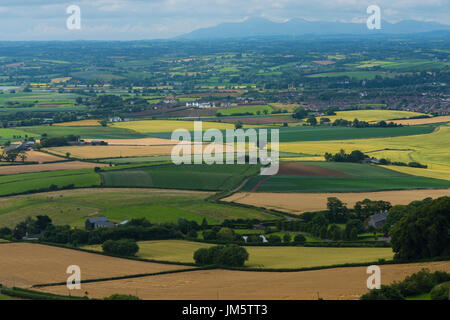 The rolling, green countryside of the Ards Peninsula as views from the top of Scrabo Tower, Newtownards in July 2017. Stock Photo