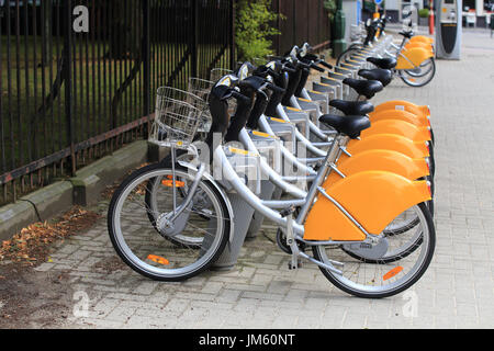 Rental bicycles standing in row on street. Rental bicycles on parking in european city. Stock Photo
