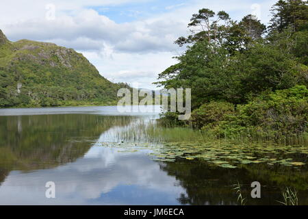 Pollacapall lough next to Kylemore Abbey in Connemara, County Galway, Ireland Stock Photo