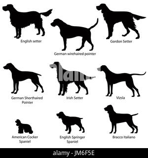 Dog icon set. Gun dogs vector illustration. Silhouette Collection of gundog. Stock Photo