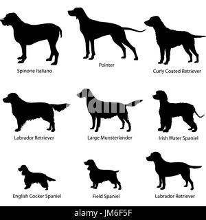 Dog icon set. Gun dogs vector illustration. Silhouette Collection of gundog. Stock Photo