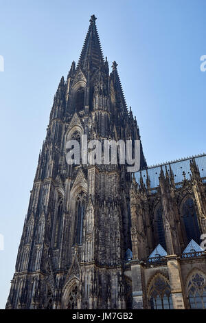 Cologne Cathedral under restoration Stock Photo