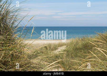View over the sea from dunes covered in lyme grass Stock Photo