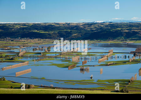 Flooded farmland on Taieri Plains, near Mosgiel, Dunedin, South Island, New Zealand Stock Photo