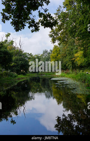 Walk path in park hike trail at Basingstoke Canal in Woking, Surrey, England Stock Photo