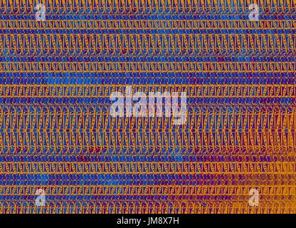 vector ornament made in ethnic style. vector illustration Stock Vector