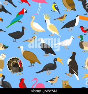 big set of tropical, domestic and other birds, cardinal, flamingo, owls, eagles, bald, sea, parrot, goose. raven. sparrow. chicken. turkey. toco toucan. hornbill. griffon. duck. Seamless pattern. Stock Vector