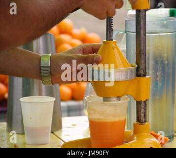 Citrus Stock Photo