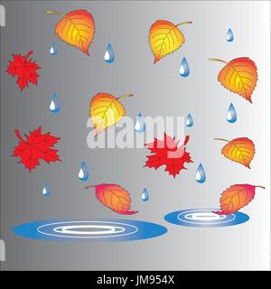 The theme of autumn, fallen leaves, puddles and raindrops. Stock Vector