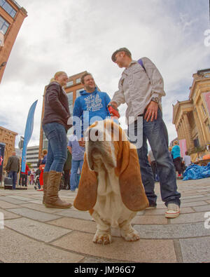 Merchant City Festival scenes Basset hound,Hush Puppy.bloodhound type dog and owners on leash chatting standing together Stock Photo