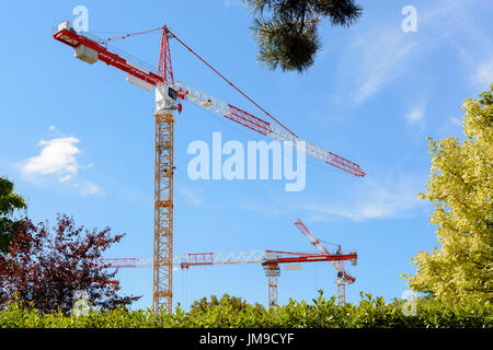 Low angle view of three tower cranes on a construction site with foliage against blue sky. Stock Photo