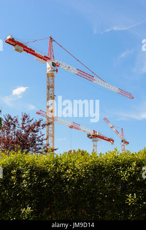 Low angle view of three tower cranes on a construction site with foliage against blue sky. Stock Photo