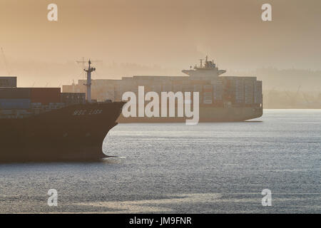 Container Ship MSC LISA, Passing The Maersk Line, Maersk LOME In Vancouver Harbour At Sunrise, British Columbia, Canada. Stock Photo