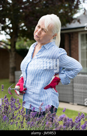 Senior Woman Suffering From Backache Whilst Gardening At Home Stock Photo