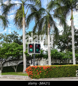 Red and green small round traffic light with nature background Stock Photo