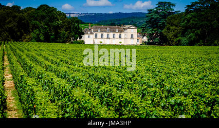 Chateau de Meursault Vineyard near Beaune, Burgundy, France in summer Stock Photo