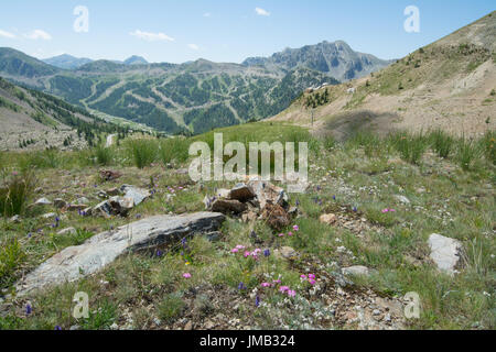 View over Col de la Lombarde in the French Alps in summer Stock Photo