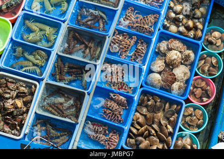 HONG KONG - JANUARY 10, 2015: Fishing boat at Sai Kung pier selling unusual assortment of live seafood. Hong Kong, china Stock Photo
