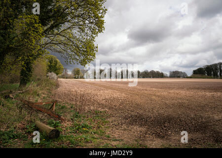 Beautiful agricultural English countryside landscape during early Spring morning Stock Photo