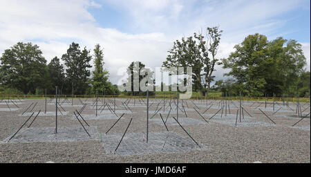 The I-LOFAR a powerful new radio telescope that covers the size of a football pitch which has been switched on in the grounds of Birr Castle in Co Offaly. Stock Photo