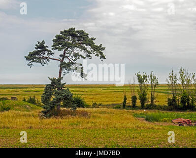 Looking across the salt marshes towards the North Sea from the cafe at Wiveton Hall, North Norfolk. Stock Photo