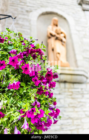 Purple pink magenta calibrachoa or petunia flowers hanging in basket by church with golden statue Stock Photo