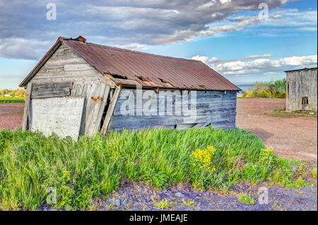 Old vintage slanted shed with yellow flowers in summer landscape field in countryside Stock Photo