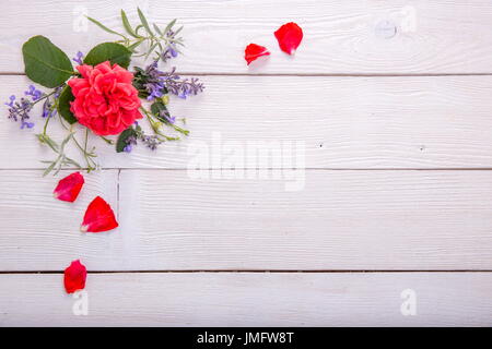 Red rose on white wooden background. David Austin Rose Golden Celebration Stock Photo