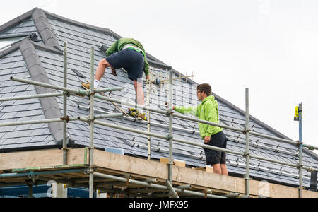 Workmen repairing roof and tiles on the roof of a house. Stock Photo
