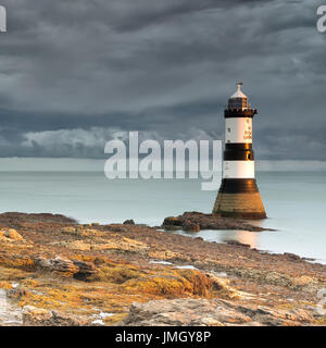 Sunrise at Penmon Lighthouse. The rising sun casts it's intense golden light onto the lighthouse and the seaweed creating a glorious golden glow. Stock Photo