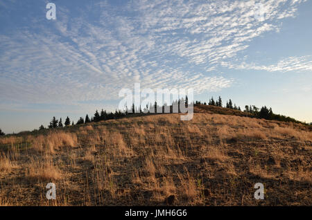 Grassy mountain hill above Kanarraville as the sun rises to the side. Light gently brightens the grass as high clouds pass over. Stock Photo