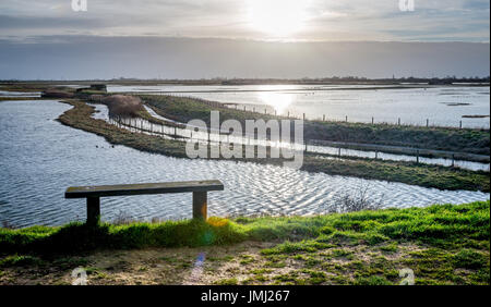 The coastal lowlands provide some of the largest natural salt marshes in the UK. RSPB Reserve Frampton Marsh on the The Wash estuary in Lincolnshire Stock Photo