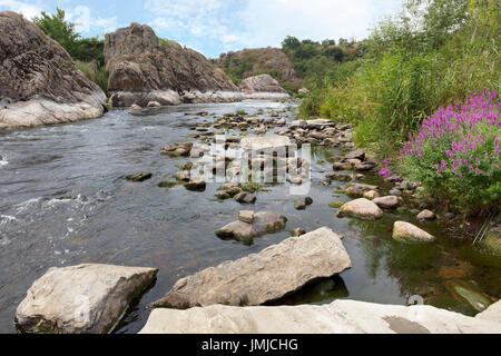 Granite and basalt rock formations and bright green vegetation with flowering shrubs on the banks of the fast river Stock Photo