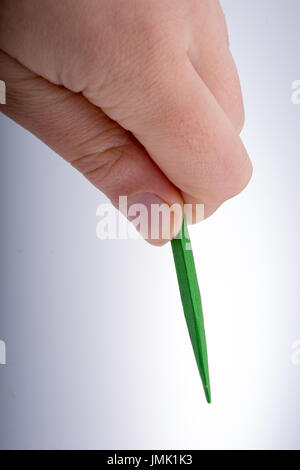 Little wooden sharp stick in hand on white background Stock Photo