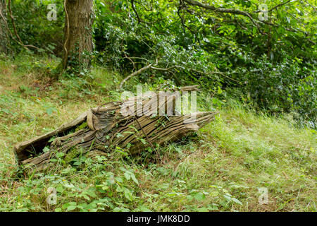 Fallen tree trunk in an English woodland in summertime Stock Photo