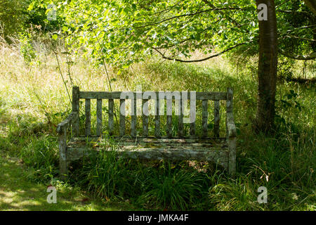 Empty wooden bench shaded by a tree in an english woodland on a summers day, England, UK Stock Photo