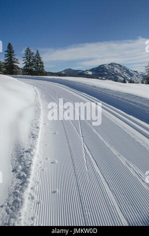 Groomed cross-country ski tracks in the Methow Valley, North Cascades Washington Stock Photo