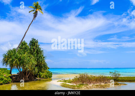 Tabuaeran, Fanning Island, Republic of Kiribati.Tabuaeran beach on the Fanning Island, Republic of Kiribati Stock Photo