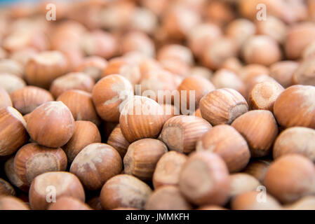 Close up on Pile of hazelnut in their shells Stock Photo
