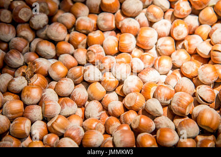 Close up on Pile of hazelnut in their shells Stock Photo