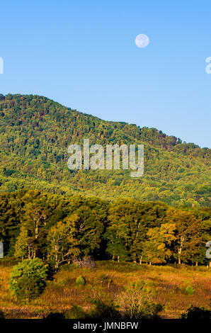 Autumn forest mountain hill in Virginia with yellow trees during sunrise with full moon Stock Photo